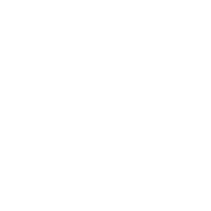 Monitorización remota